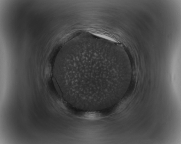 X0000085780231200703301432