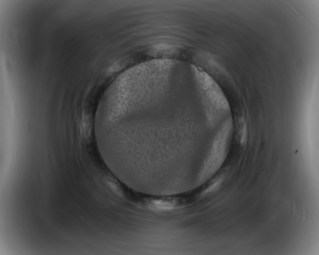 X0000085780232200703301432