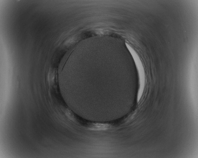 X0000085780233200703301432