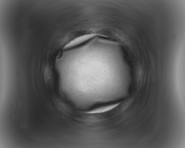 X0000085780236200703301432