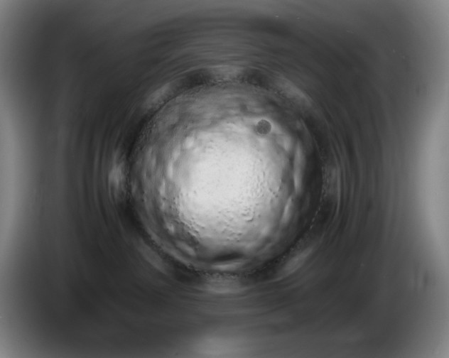 X0000085780238200703301432