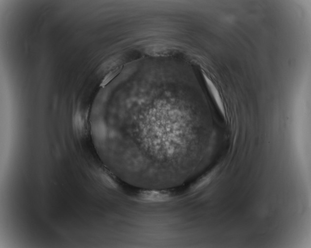 X0000085780239200703301432