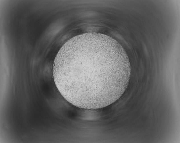 X0000085780240200703301432