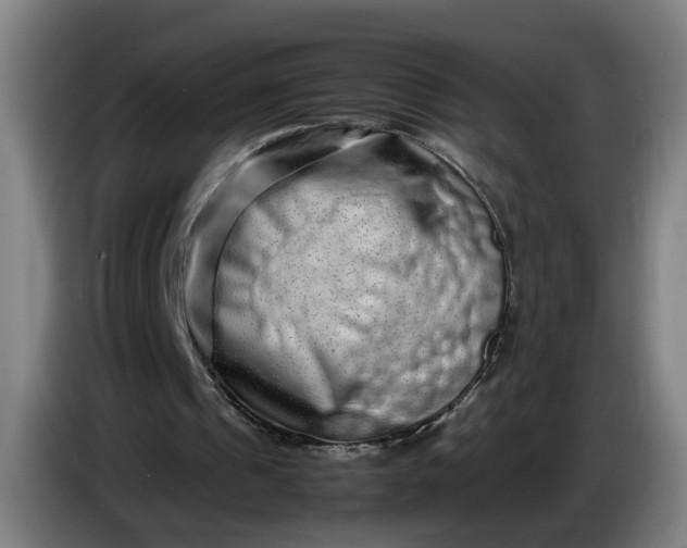 X0000085780241200703301431