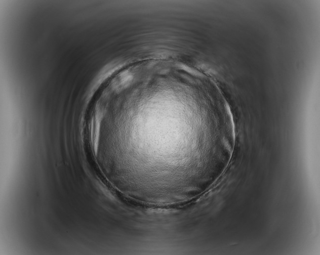 X0000085780242200703301431