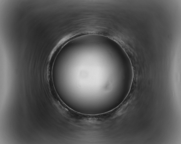 X0000085780244200703301431