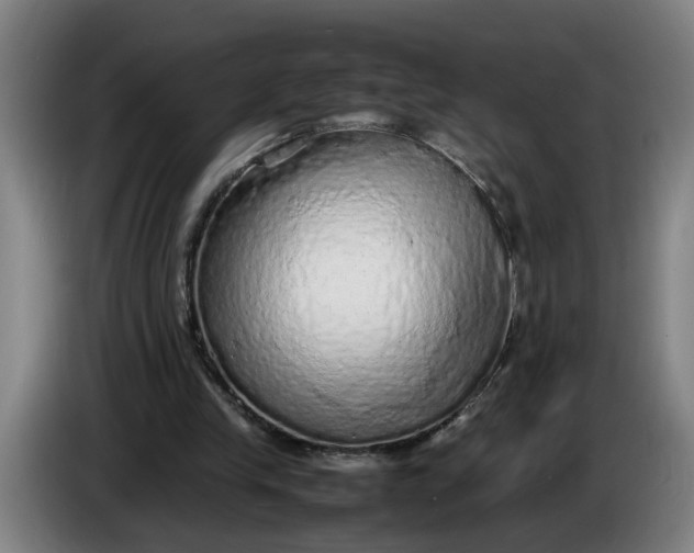 X0000085780245200703301431