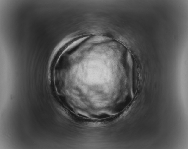 X0000085780246200703301431