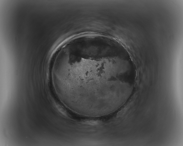 X0000085780247200703301431