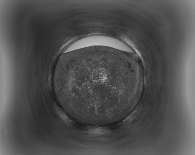 X0000085780249200703301431