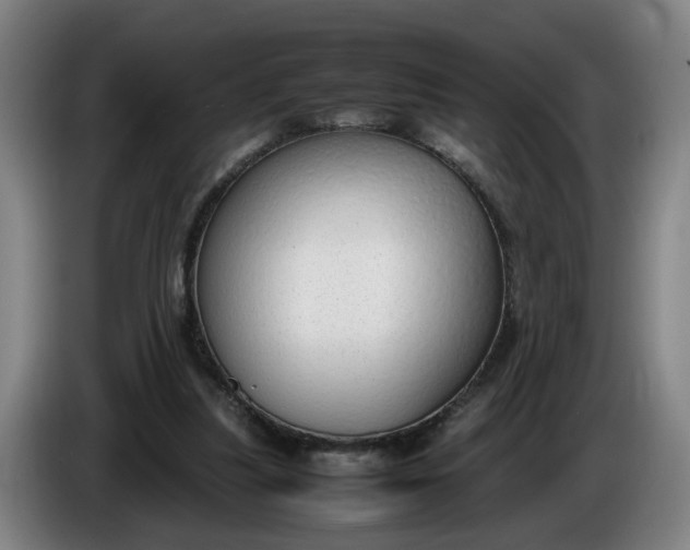 X0000085780251200703301431