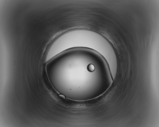 X0000085780252200703301431