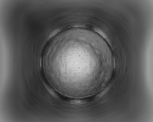 X0000085780253200703301431