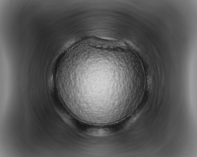 X0000085780254200703301431