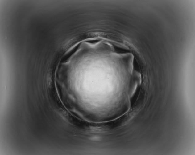 X0000085780259200703301431