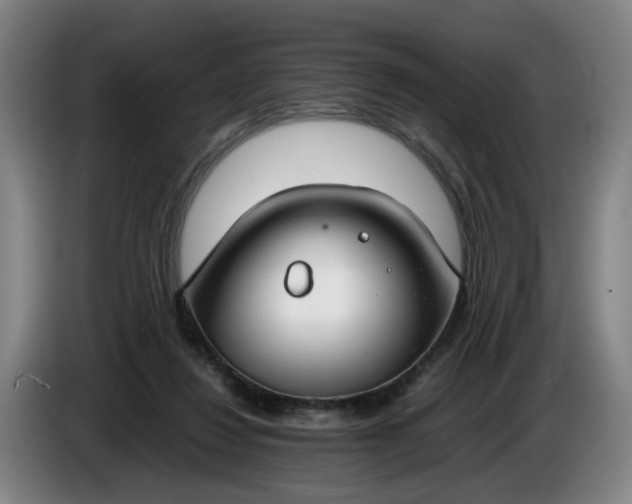 X0000085780260200703301431