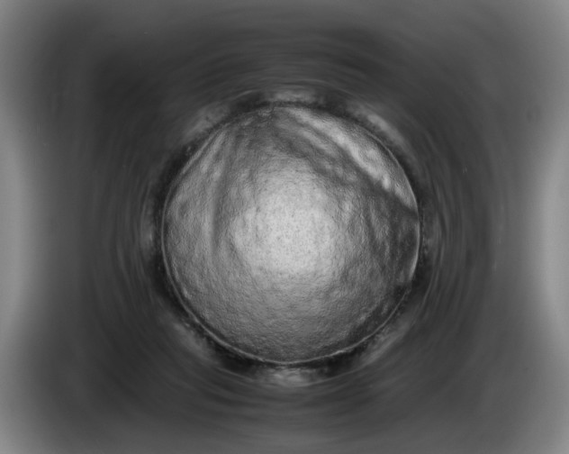 X0000085780261200703301431