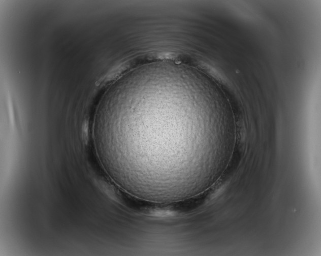 X0000085780262200703301431