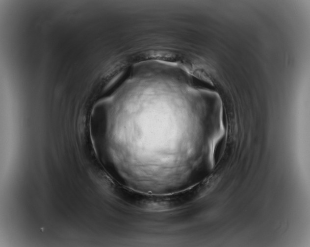 X0000085780263200703301431