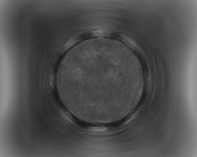 X0000085780266200703301431