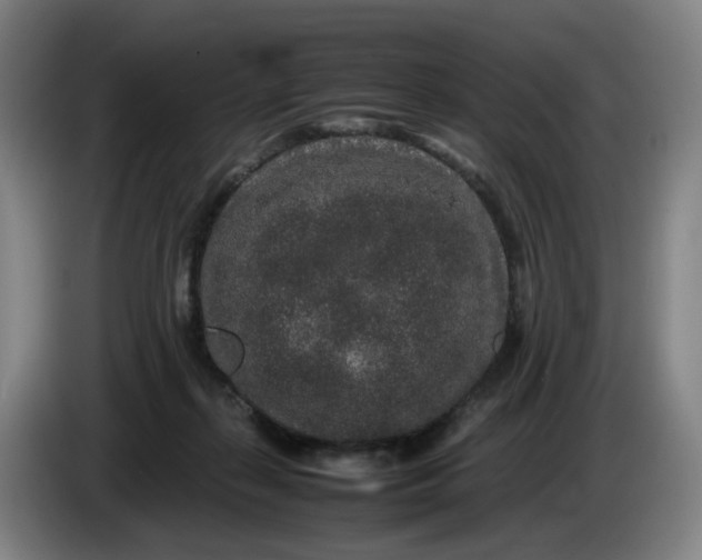 X0000085780267200703301431