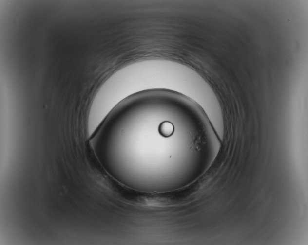 X0000085780268200703301432