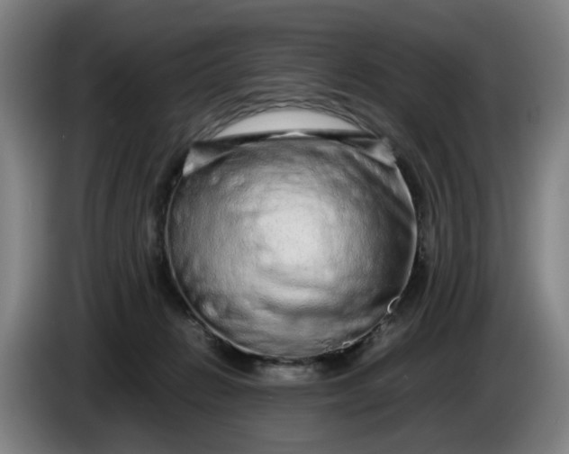 X0000085780270200703301432