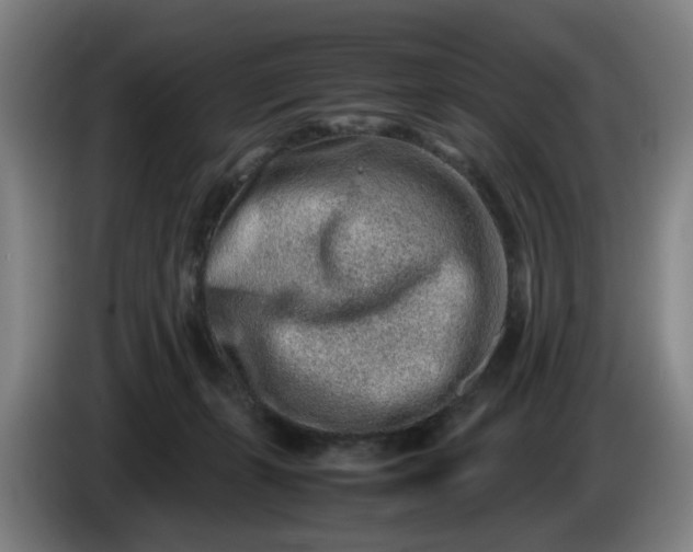 X0000085780271200703301432