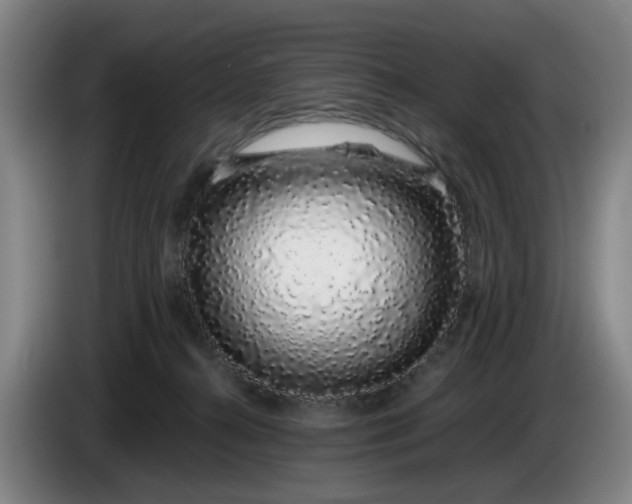 X0000085780272200703301432