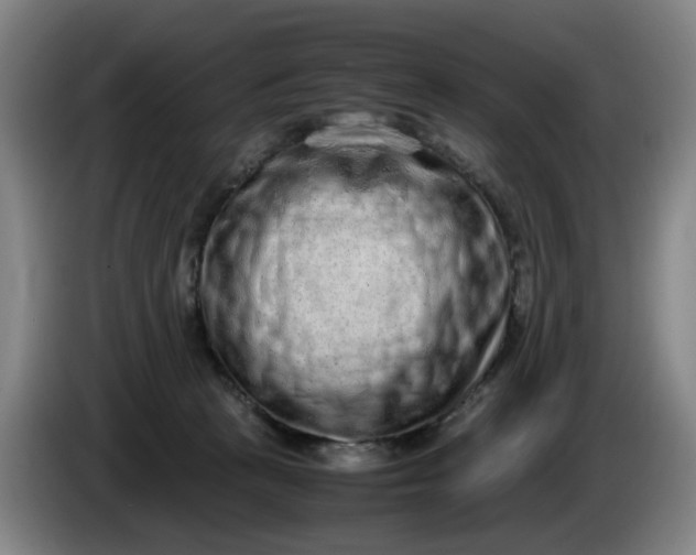 X0000085780273200703301432