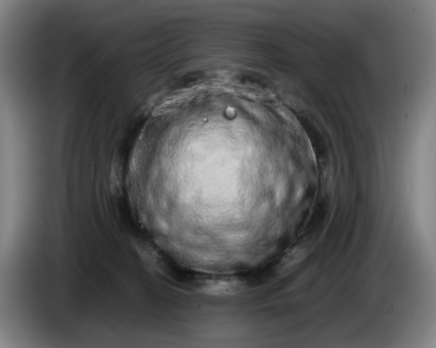 X0000085780274200703301432