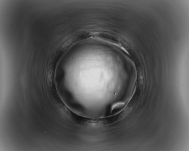 X0000085780275200703301432