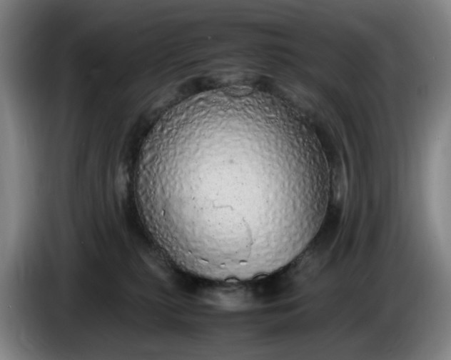 X0000085780279200703301432