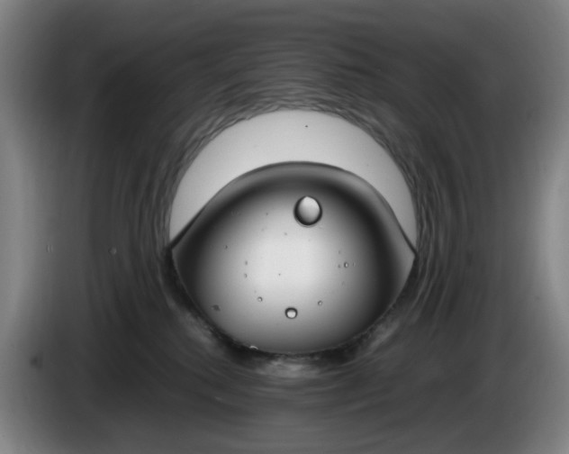 X0000085780280200703301432