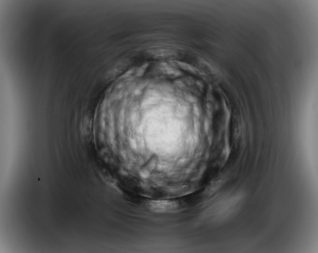 X0000085780281200703301432