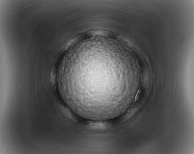 X0000085780282200703301432