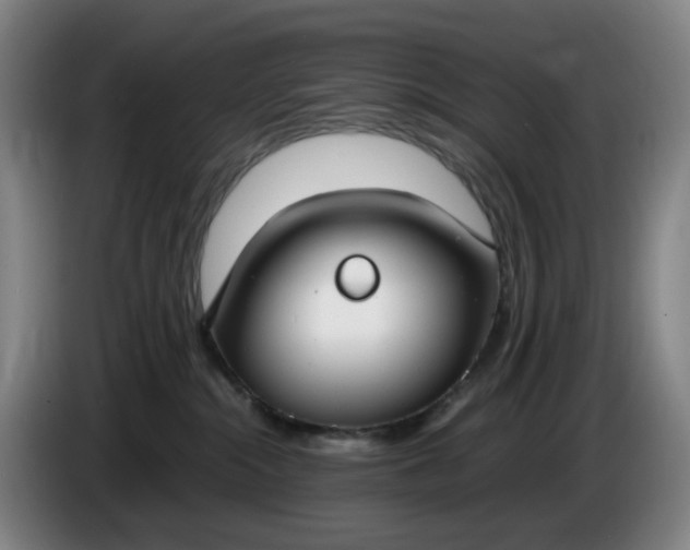 X0000085780284200703301432