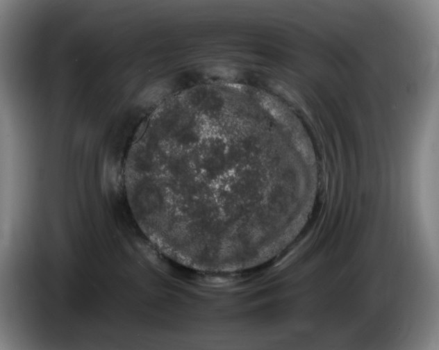 X0000085780285200703301432