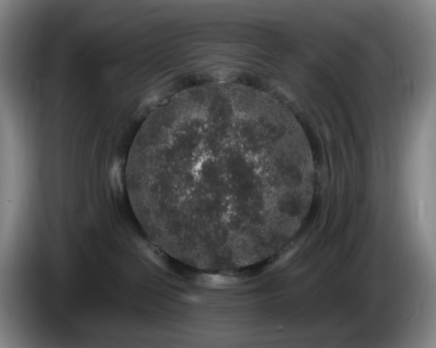 X0000085780286200703301432