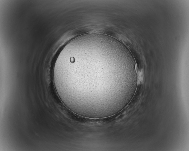 X0000085780291200703301431