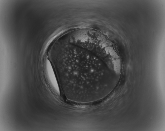 X0000085780295200703301431