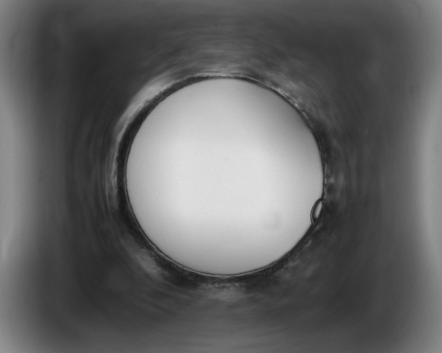 X0000085780296200703301431