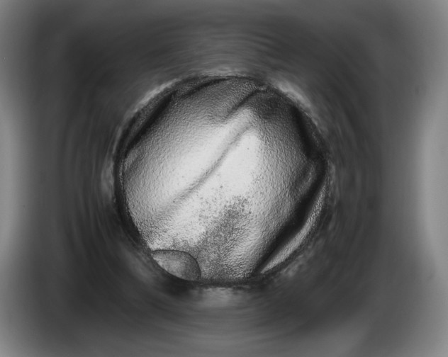 X0000085780298200703301431