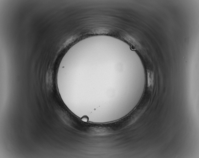 X0000085780300200703301431