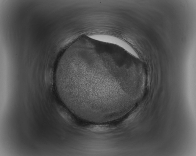 X0000085780303200703301431