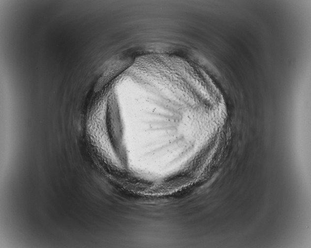 X0000085780305200703301431