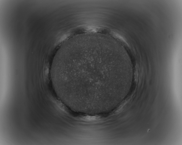 X0000085780314200703301431