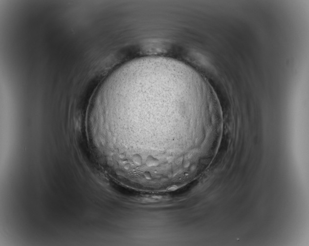 X0000085780315200703301431