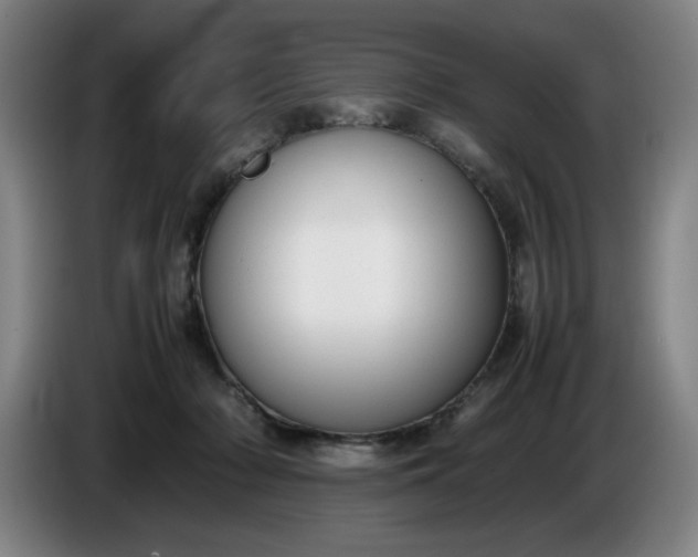 X0000085780318200703301431