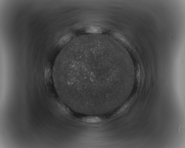 X0000085780322200703301431